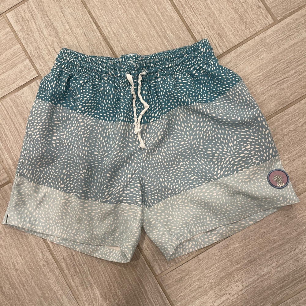 Chubbies Blue and Gray Patterned Swim Shorts